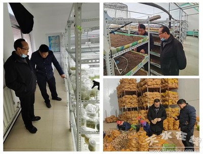 國家馬鈴薯產(chǎn)業(yè)技術(shù)體系天水綜合試驗(yàn)站開展對接服務(wù)企業(yè)活動(圖)