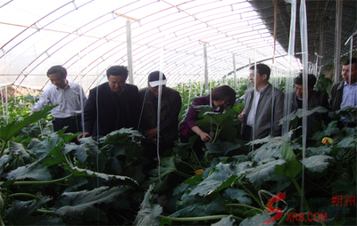 朔州科協請來專家現場指導科技服務(圖)_市直動態_朔州頻道_山西新聞網 - 主流媒體 山西門戶