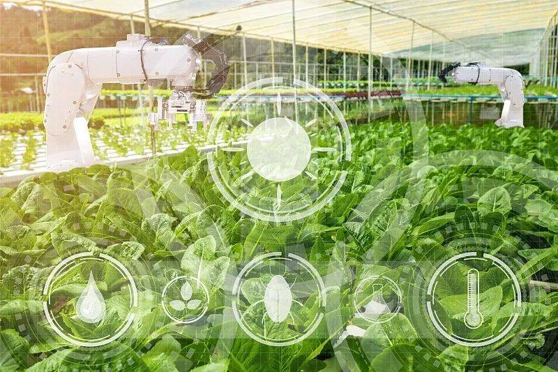 農(nóng)業(yè)科技社會(huì)化服務(wù)體系建設(shè)如何加強(qiáng)?七部門發(fā)文部署_推廣