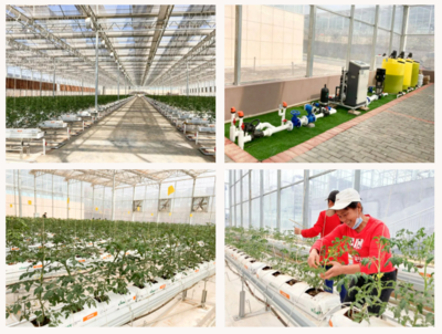 廣州市智慧農(nóng)業(yè)服務(wù)股份 &middot; 2022 年度十大回顧