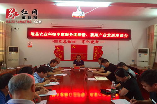 道縣召開農業科技專家服務團臍橙 蔬菜產業發展座談會