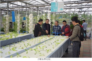 江門(mén)市農(nóng)業(yè)科技創(chuàng)新中心組團(tuán)赴省農(nóng)業(yè)科學(xué)院 取經(jīng)