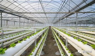 推進農(nóng)產(chǎn)品產(chǎn)業(yè)化,把握好這三個階段是關(guān)鍵