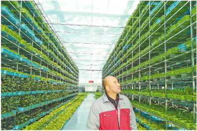 工廠化生產 蔬菜&ldquo;住&rdquo;上十層&ldquo;樓&rdquo;