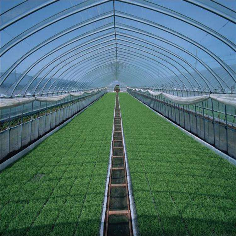 產品報價 連棟薄膜溫室 薄膜溫室大棚 服務熱線 - 壽光市方立農業科技