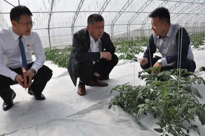 &ldquo;造血&rdquo;扶貧模式 帶動貧困戶產業脫貧