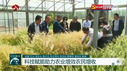 【我為群眾辦實事】問題不出田 江蘇積極開展農(nóng)業(yè)科技服務(wù)活動