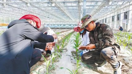 湖北這些示范點和標(biāo)兵入選!