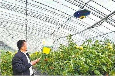 農村發家致富,新農業科技助力鄉村振興