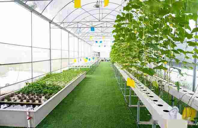 西安三產(chǎn)融合園,農(nóng)業(yè)產(chǎn)業(yè)園分類,鄉(xiāng)村振興項目,美麗鄉(xiāng)村項目