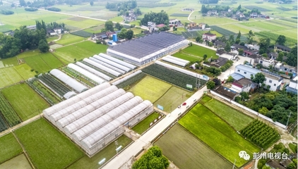 彭州農業(yè)又獲得國家級創(chuàng)建名單!