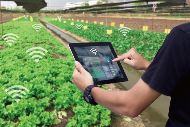 麥麥科技獲數(shù)千萬(wàn)元天使輪融資發(fā)展tob端智慧農(nóng)業(yè)科技服務(wù)平臺(tái)