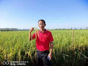 快來(lái)投我一票