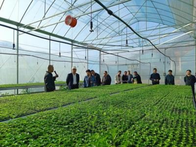 東川區現代農業產業園建成投入運行，賦能農業科技服務新篇章