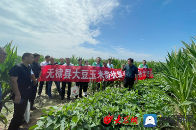 無棣縣科技特派員送“技”到田間，助力農業科技服務升級