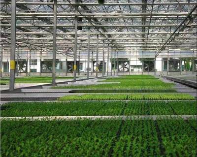 張兵書記調研湘家蕩農業數字化工廠，助力農民豐收節農業科技服務