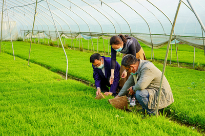 宿松先鋒網 農業(yè)科技服務助推鄉(xiāng)村振興