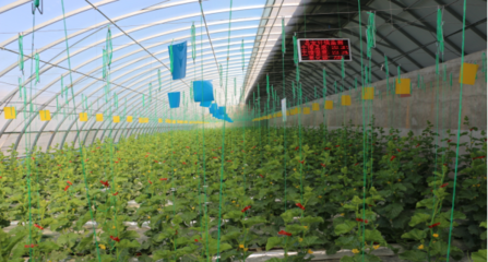 聚焦農業(yè)科技服務 助推現(xiàn)代農業(yè)發(fā)展的關鍵引擎